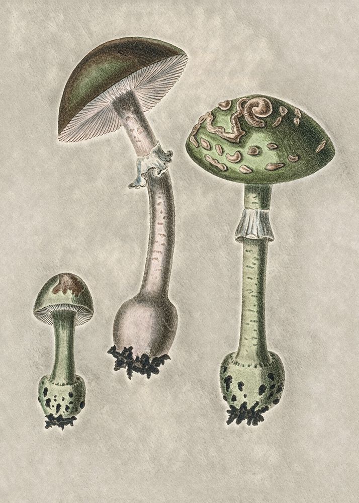 Amanita Muscaria Remix Green art print by Pictufy for $57.95 CAD