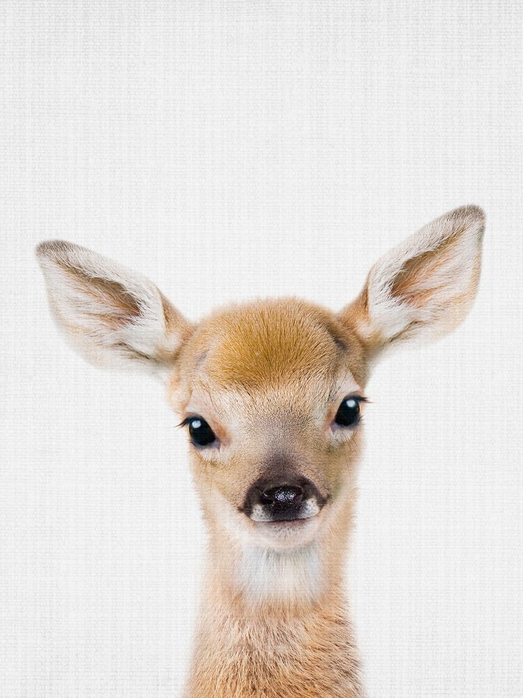 Peekaboo Baby Deer art print by Lola Peacock for $57.95 CAD