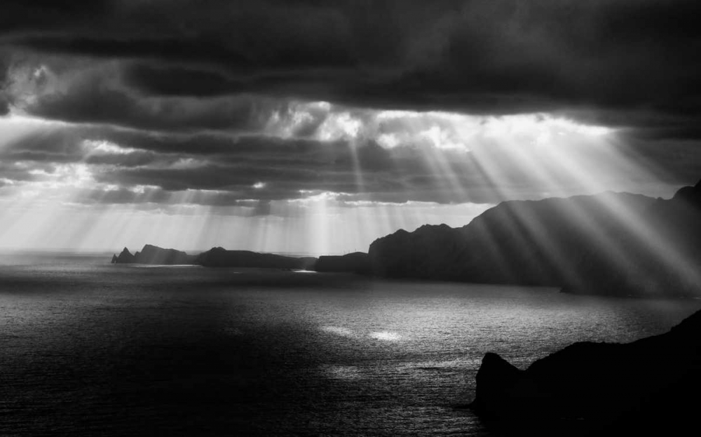 Morning Rays art print by Artfiction for $57.95 CAD