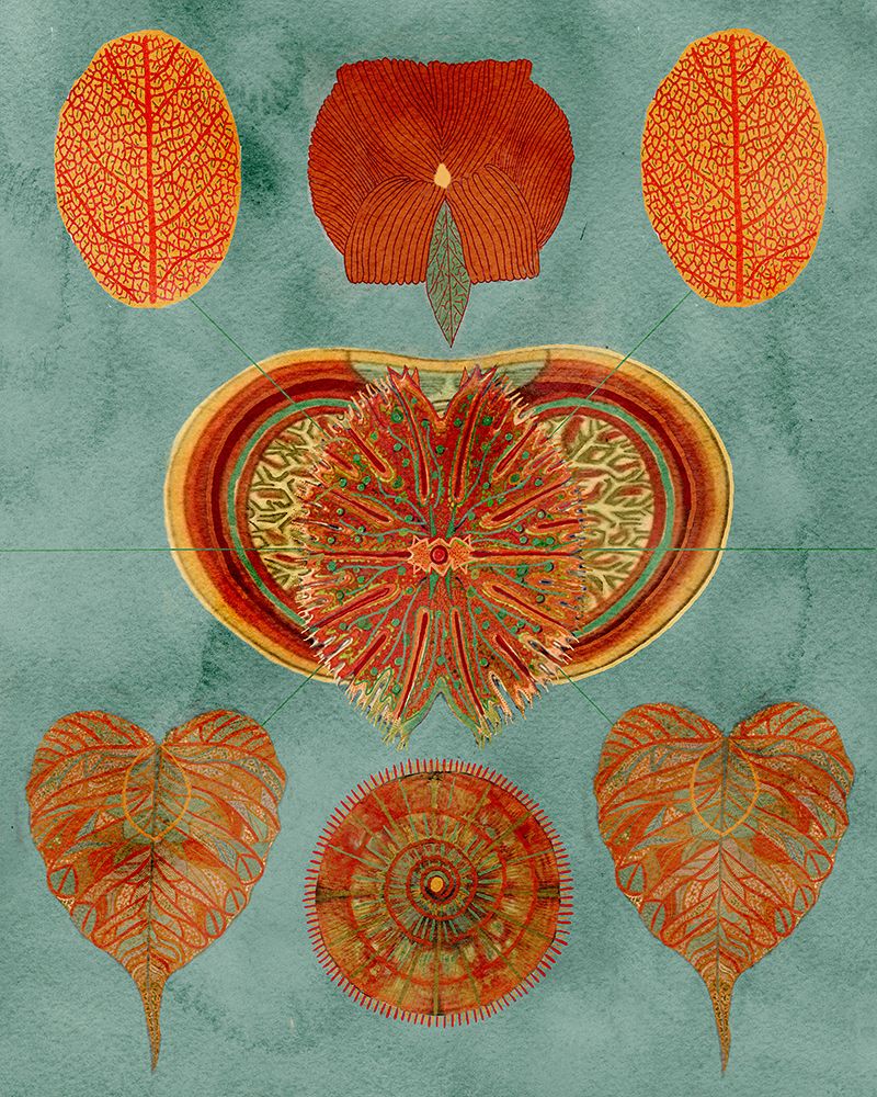 Abstract Symmetry art print by Giovanna Nicolo for $57.95 CAD