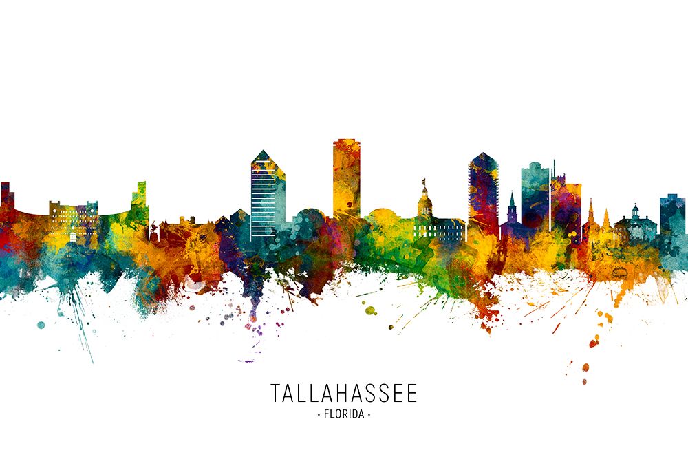Tallahassee Florida Skyline art print by Michael Tompsett for $57.95 CAD