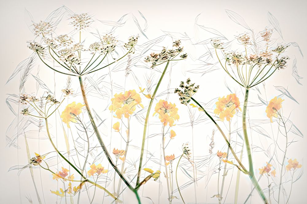 Spring Flower Art art print by Brigitte Van Krimpen for $57.95 CAD