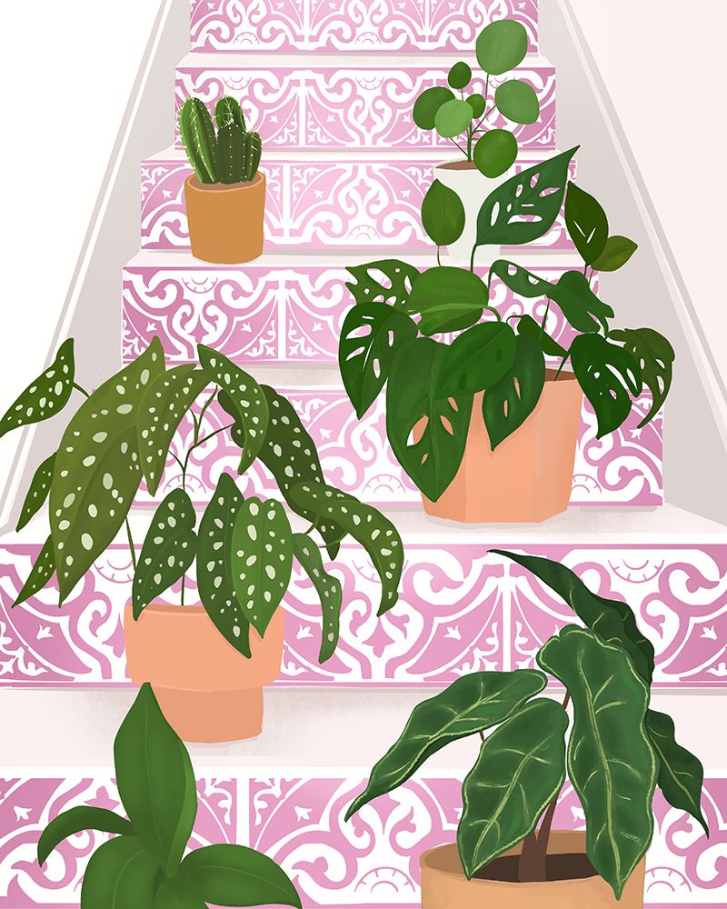 Plants art print by Petra Lizde for $57.95 CAD