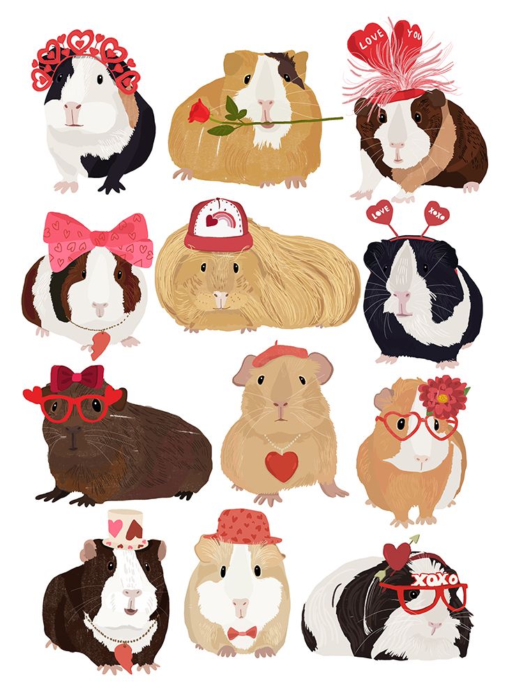 Love Guinea Pigs art print by Hanna Melin for $57.95 CAD