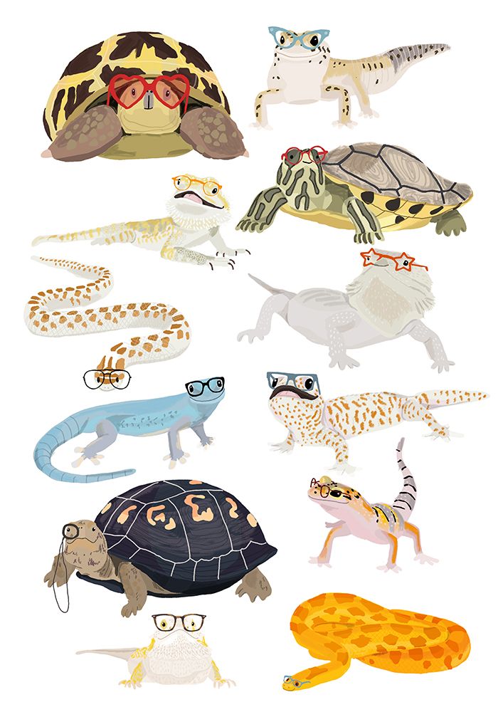 A1 Reptiles In Glasses art print by Hanna Melin for $57.95 CAD