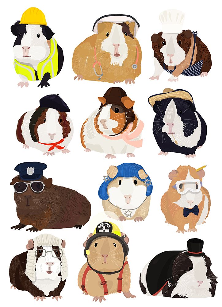 Guinea Pig Working Hr art print by Hanna Melin for $57.95 CAD