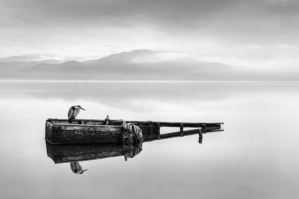 Heron on a Boat I art print by George Digalakis for $57.95 CAD