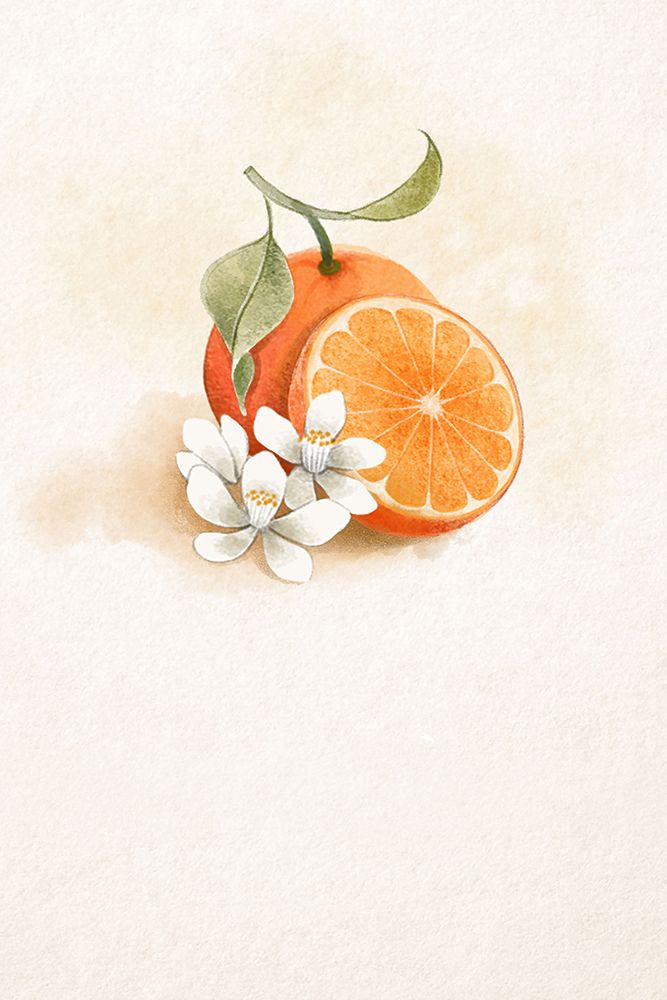 Juicy Orange 1 art print by Xuan Thai for $57.95 CAD