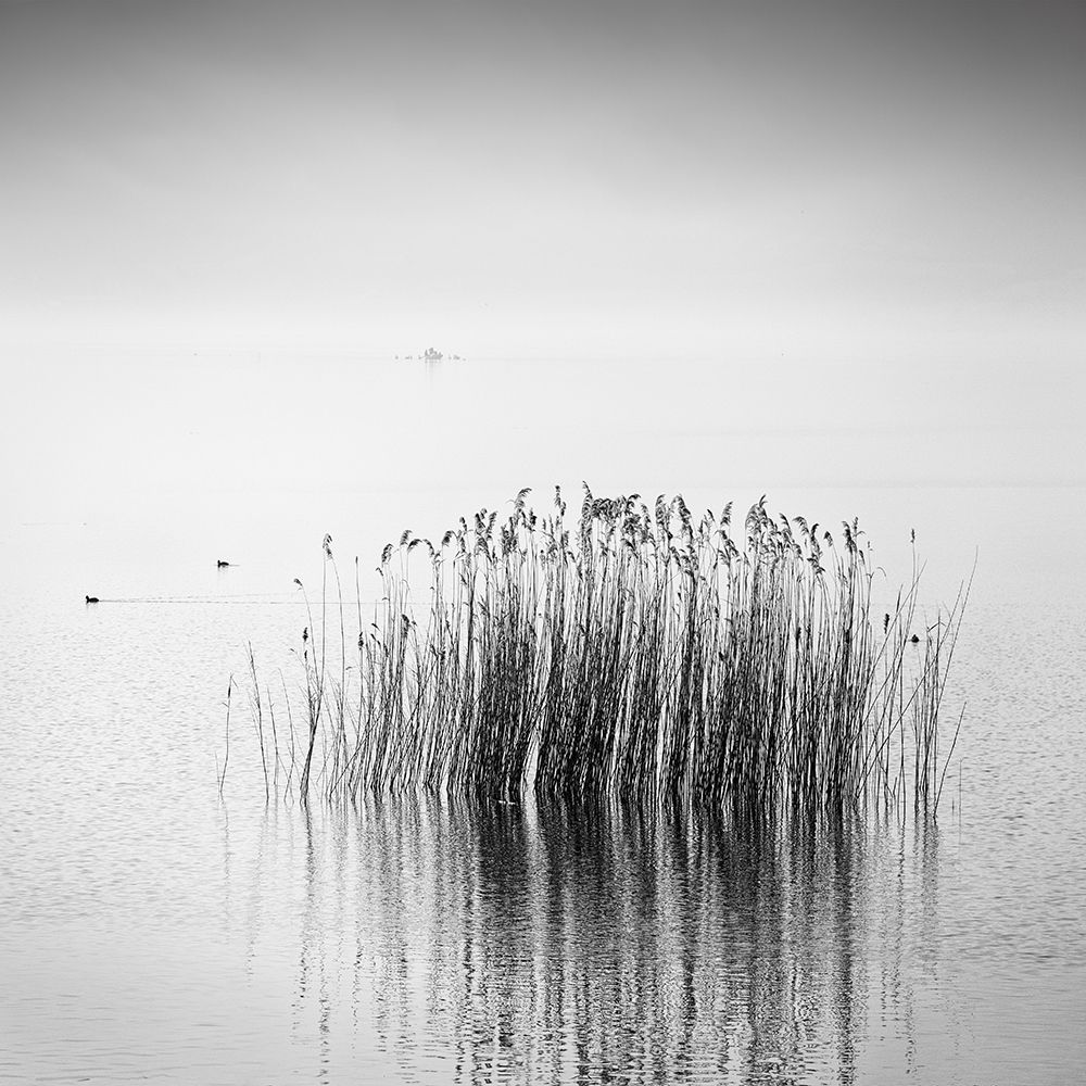 Enjoy The Silence art print by George Digalakis for $57.95 CAD