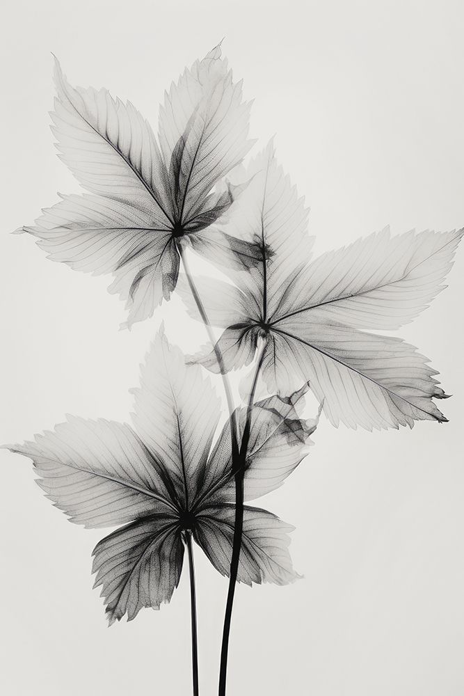 Transparent Botanic No 5 art print by Treechild for $57.95 CAD