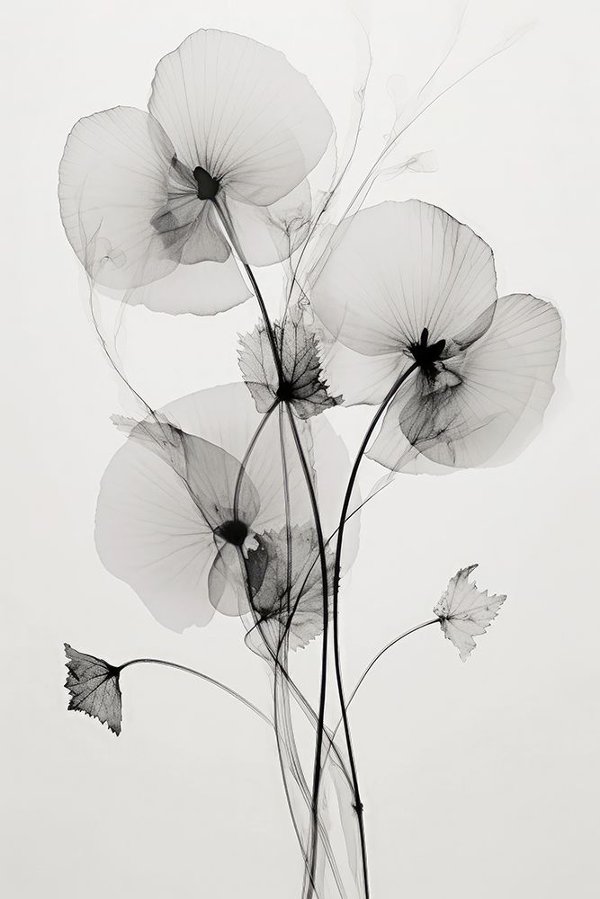 Transparent Botanic No1 art print by Treechild for $57.95 CAD