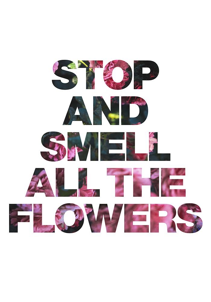 Stop and Smell All the Flowers art print by Sarah Manovski for $57.95 CAD