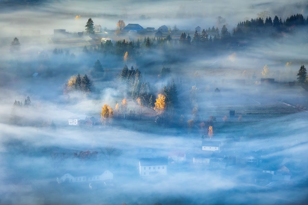 Morning Mist art print by Sebastian Prioteasa for $57.95 CAD