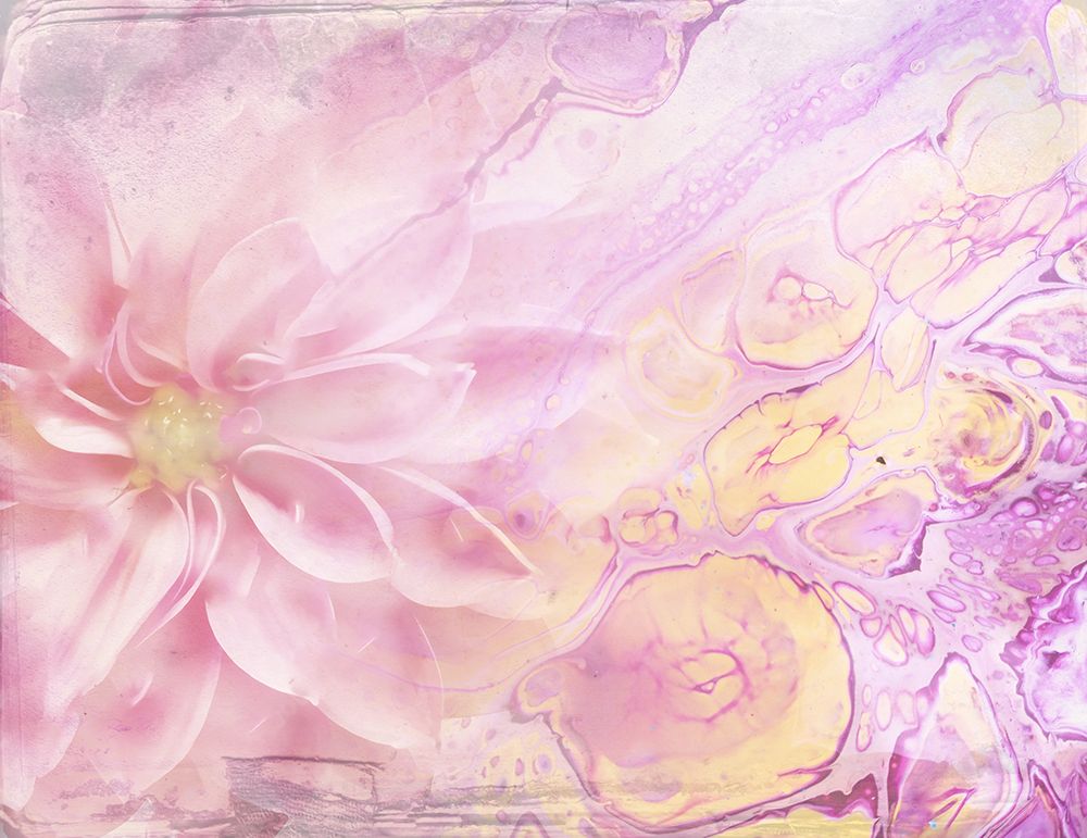 Ombre024flower art print by Rafal Kulik for $57.95 CAD