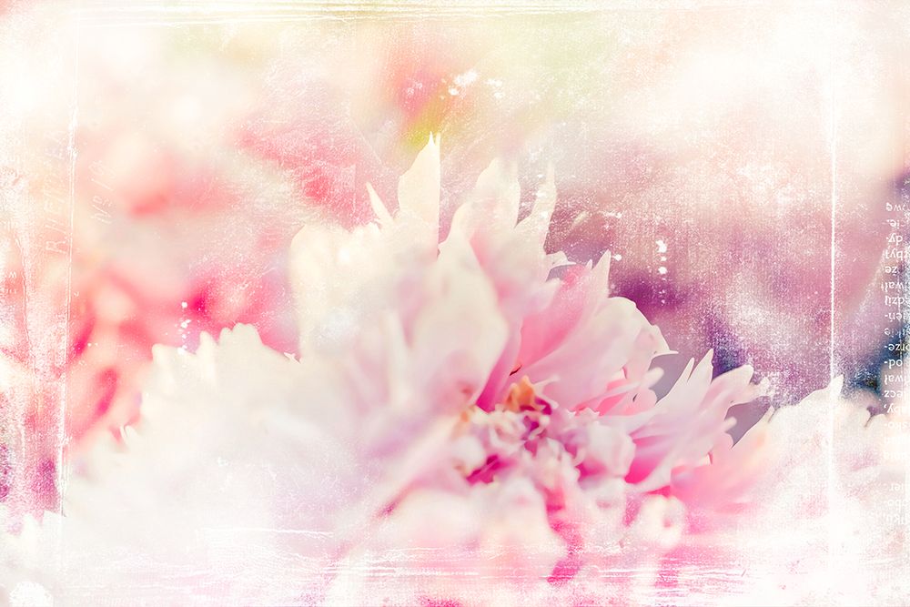 Ombre032flower art print by Rafal Kulik for $57.95 CAD