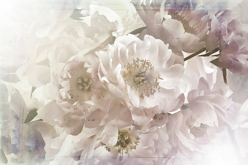 Ombre033flower art print by Rafal Kulik for $57.95 CAD