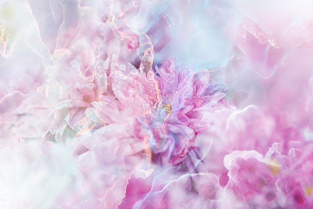 Ombre089flower art print by Rafal Kulik for $57.95 CAD