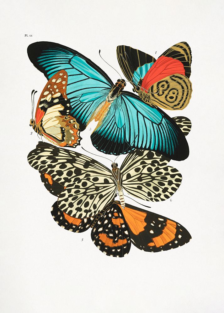 Butterflies 1 art print by Pictufy for $57.95 CAD