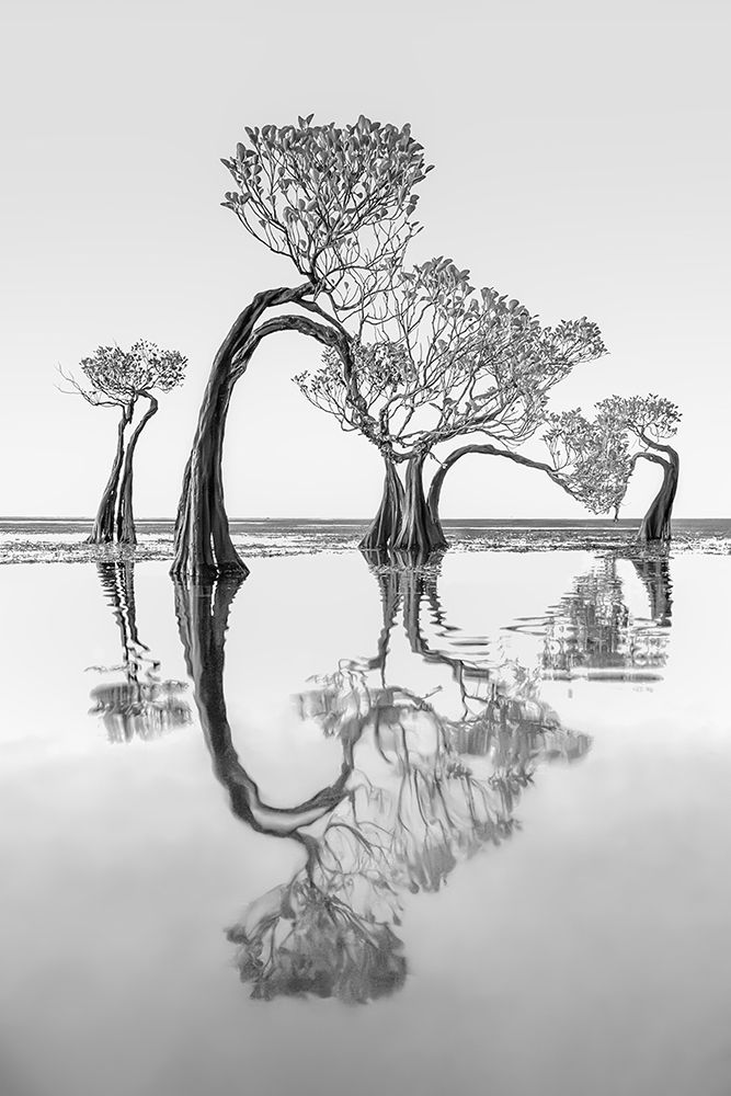 Dancing Trees art print by Irene Wu for $57.95 CAD