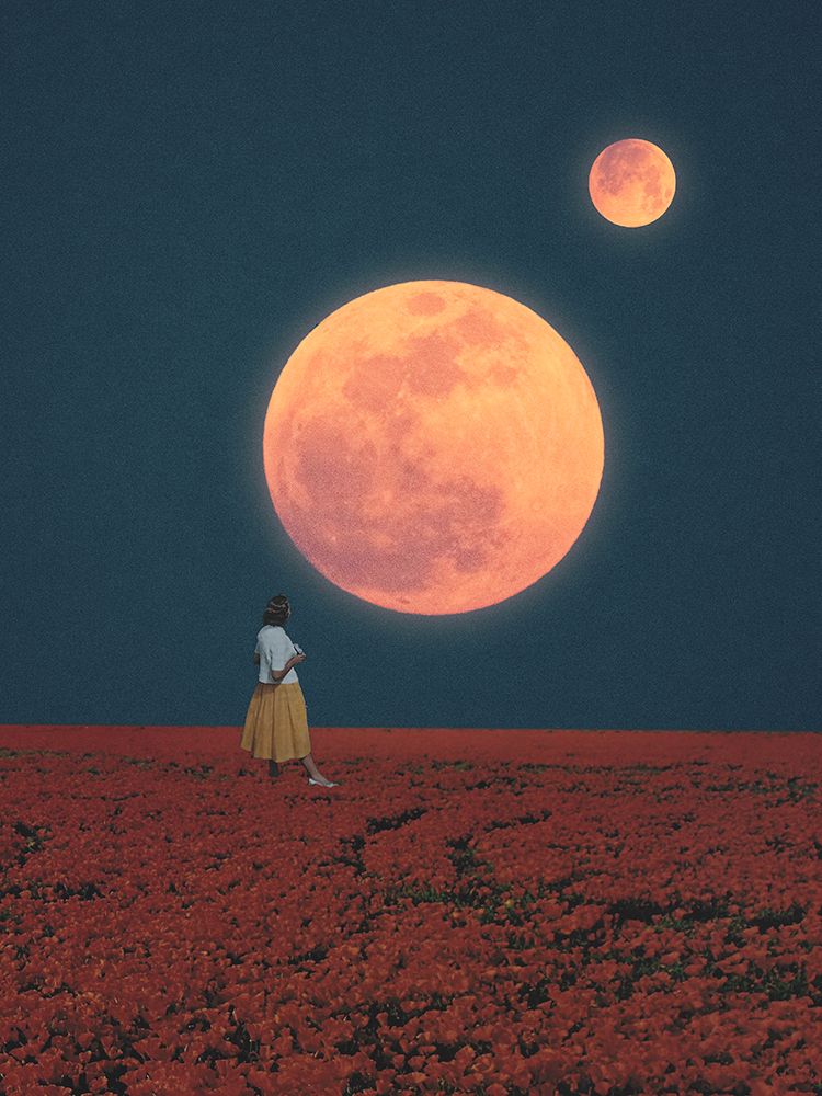 Twin Moons art print by Hugo Goncalves for $57.95 CAD