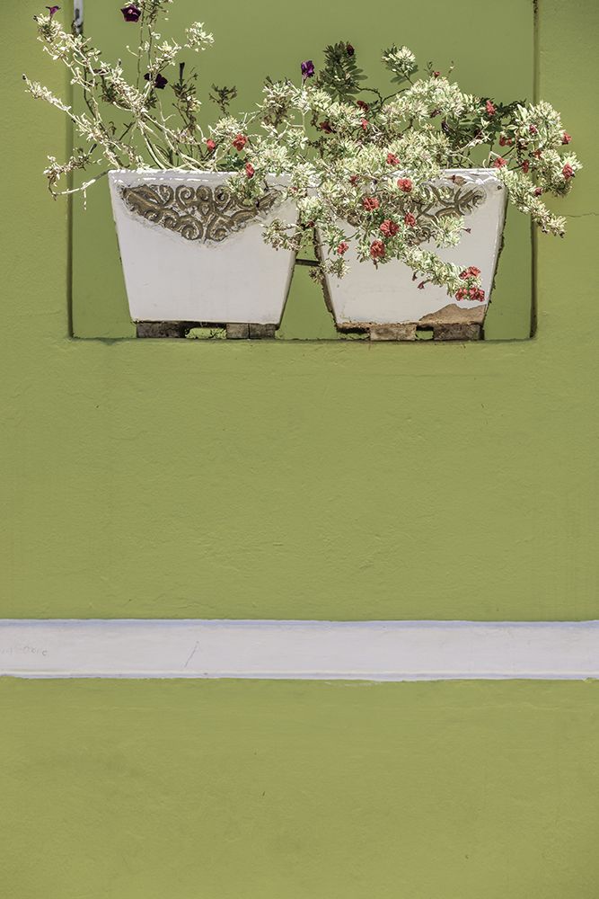 Wall Garden art print by Shot by Clint for $57.95 CAD