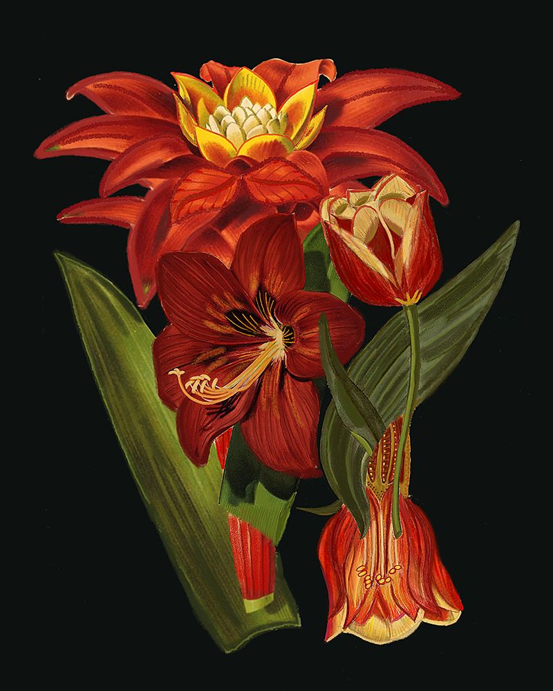 In Bloom.png art print by Giovanna Nicolo for $57.95 CAD