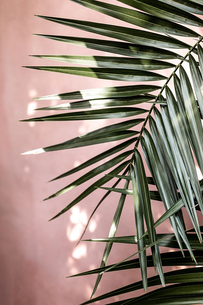 Palm Leaves 23 art print by Mareike Bohmer for $57.95 CAD