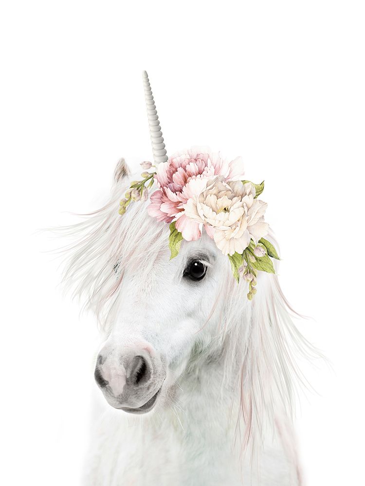Floral Unicorn art print by Lola Peacock for $57.95 CAD