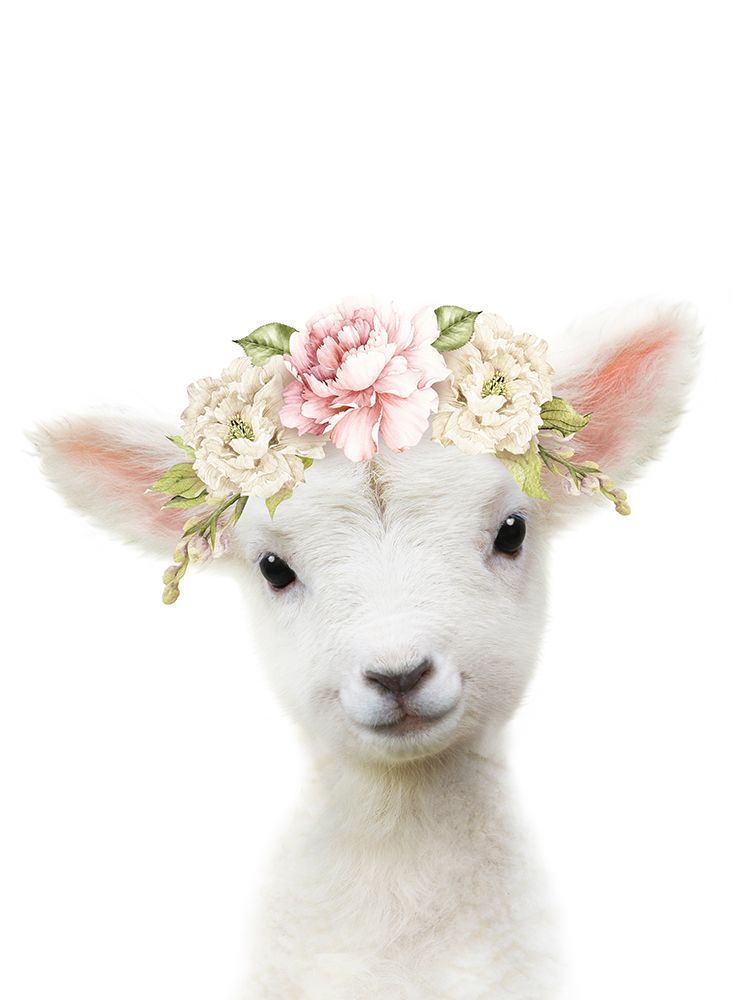 Floral Baby Sheep art print by Lola Peacock for $57.95 CAD