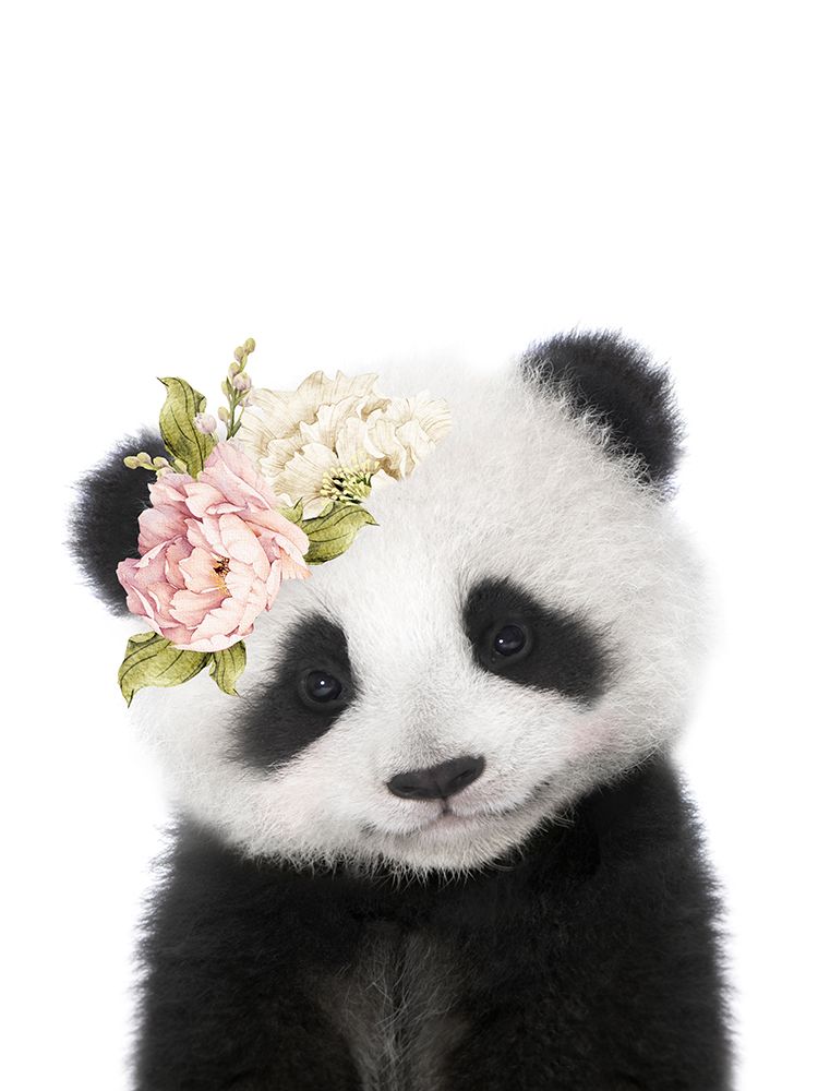 Floral Baby Panda art print by Lola Peacock for $57.95 CAD