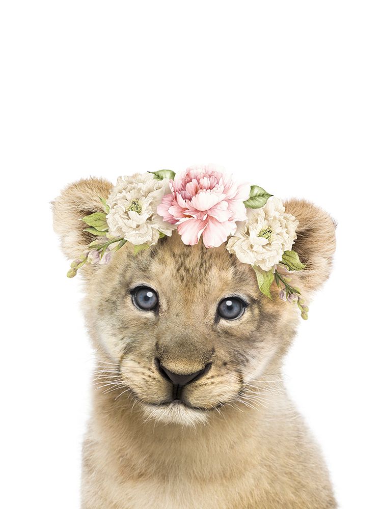 Floral Baby Lion art print by Lola Peacock for $57.95 CAD