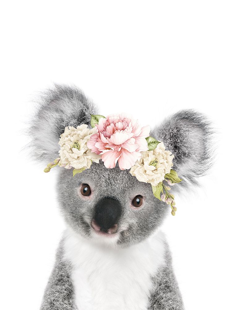 Floral Baby Koala art print by Lola Peacock for $57.95 CAD