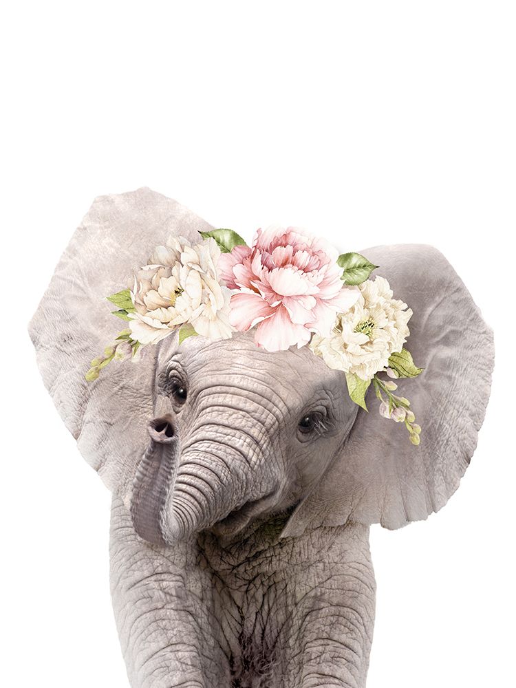 Floral Baby Elephant art print by Lola Peacock for $57.95 CAD