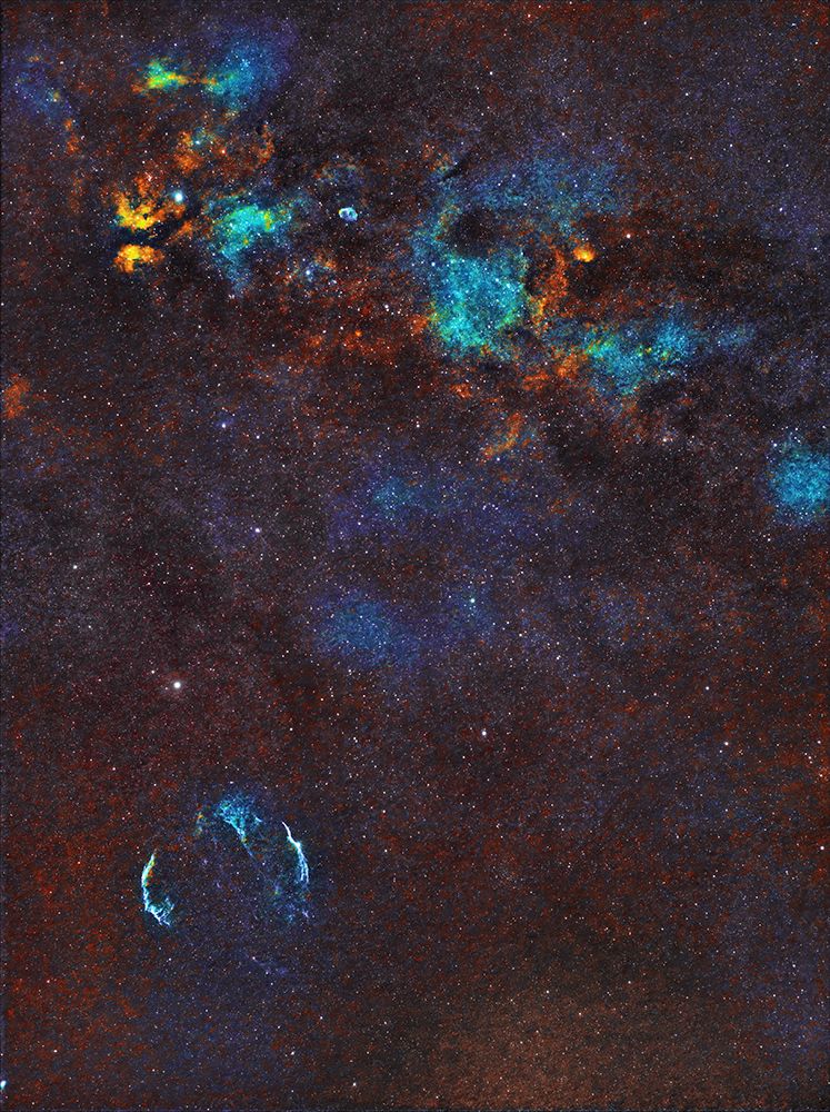 Veil Nebula, Sadr Region and Crescent Nebula art print by Bruce Li for $57.95 CAD