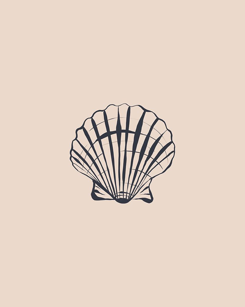 Seashell art print by Ivy Green Illustrations for $57.95 CAD
