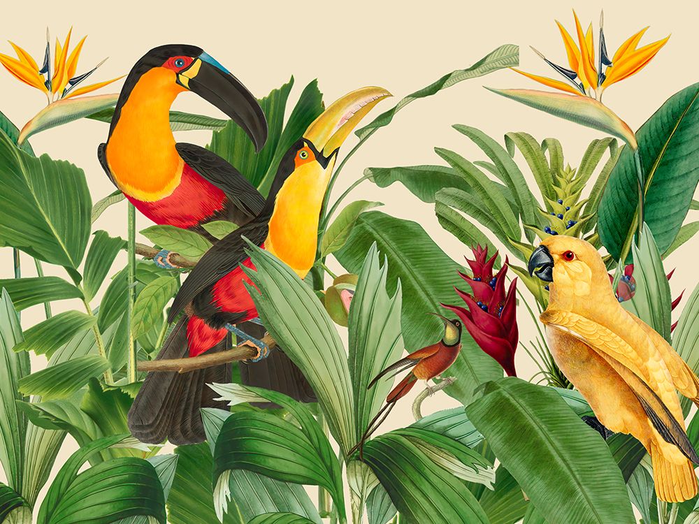 Rain Forest Bird Garden art print by Andrea Haase for $57.95 CAD