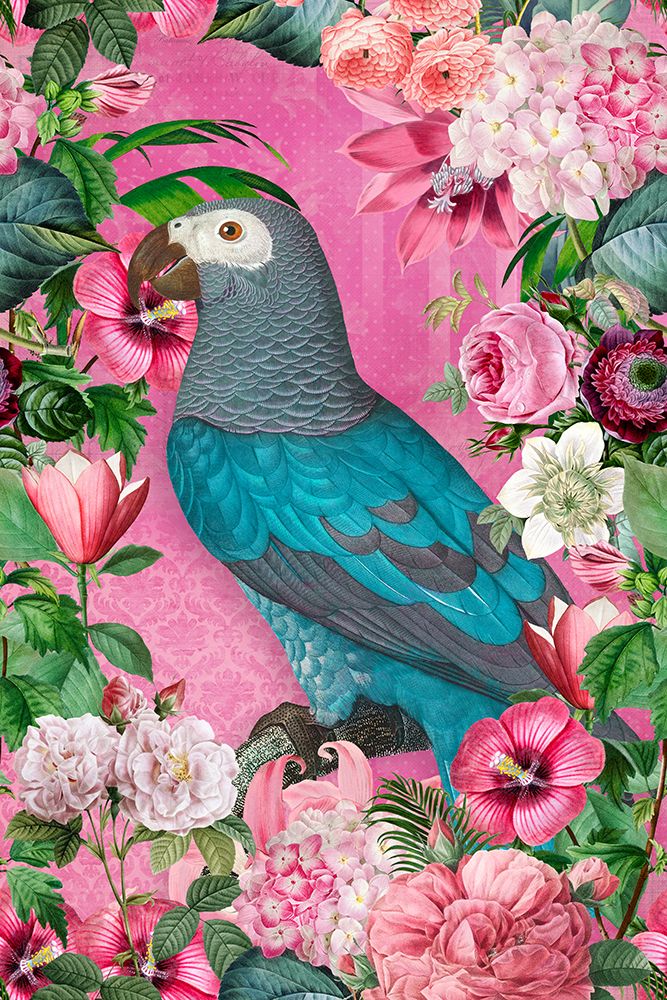 The Parrots Paradise Garden art print by Andrea Haase for $57.95 CAD