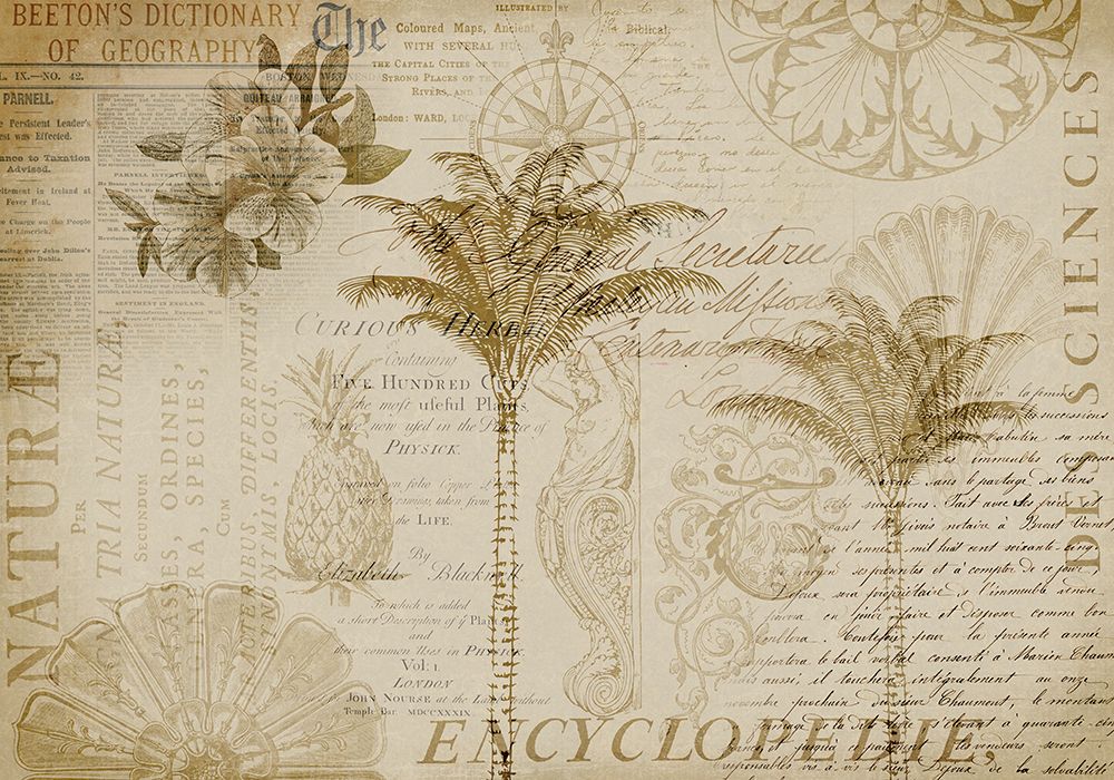 Tropical Encyclopedia art print by Andrea Haase for $57.95 CAD