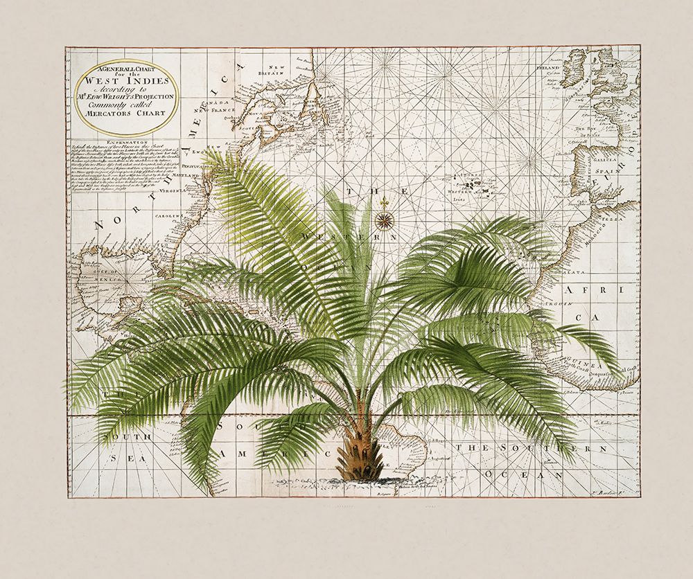 Tropical Empire No1 art print by Andrea Haase for $57.95 CAD