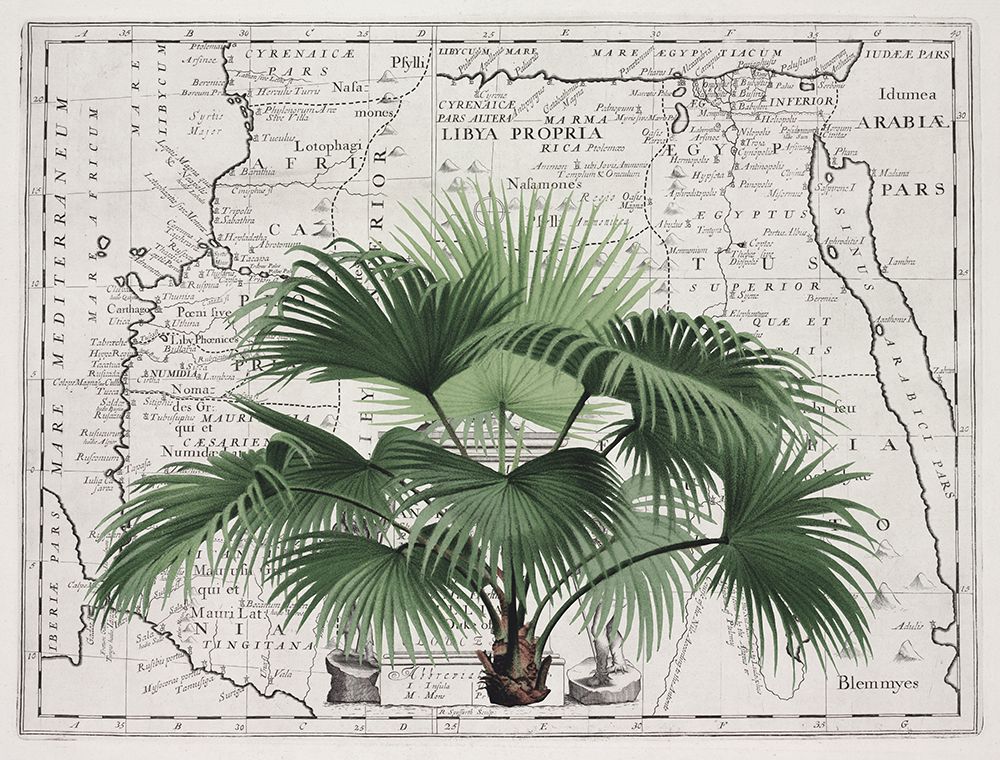 Tropical Empire No3 art print by Andrea Haase for $57.95 CAD