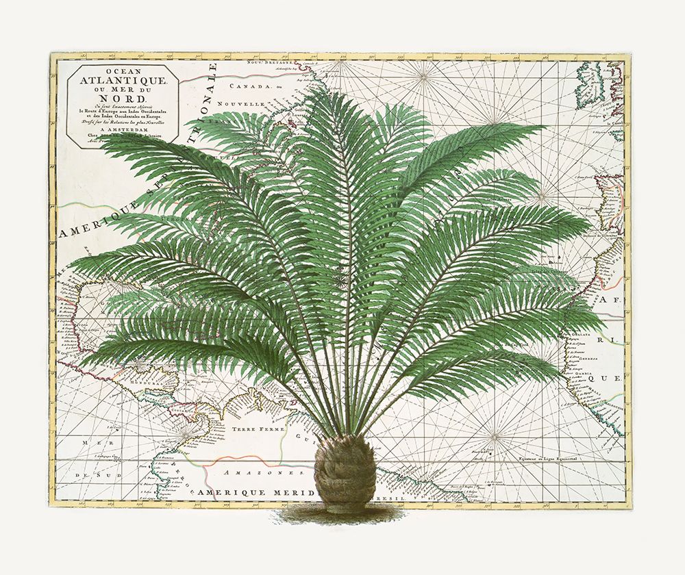 Tropical Empire No5 art print by Andrea Haase for $57.95 CAD