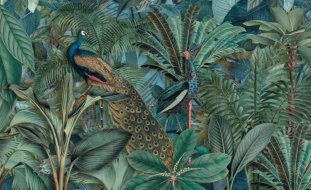 Jungle Birds Garden No2 art print by Andrea Haase for $57.95 CAD