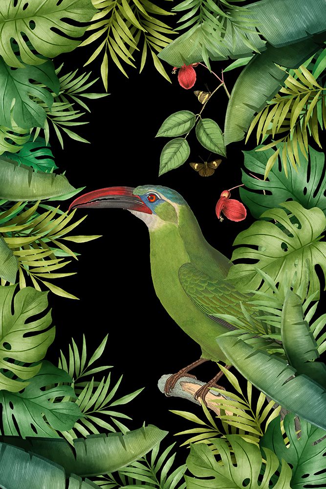 Jungle With Green Toucan art print by Andrea Haase for $57.95 CAD