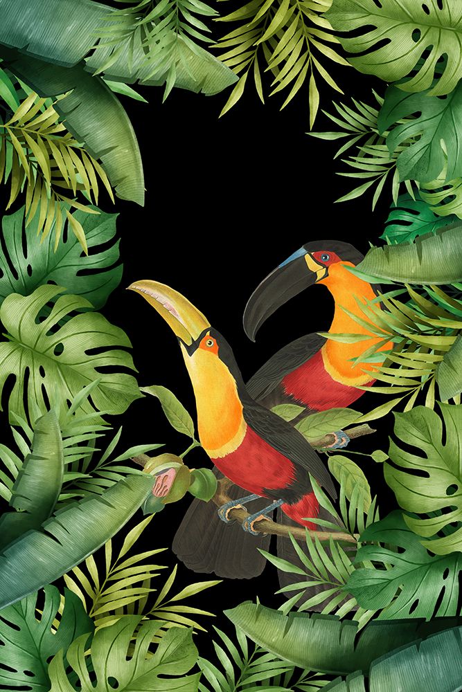 Jungle With Toucans art print by Andrea Haase for $57.95 CAD