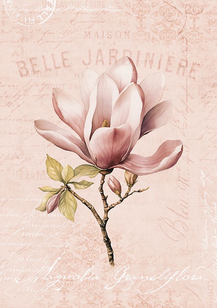 Magnolia Blush No2 art print by Andrea Haase for $57.95 CAD