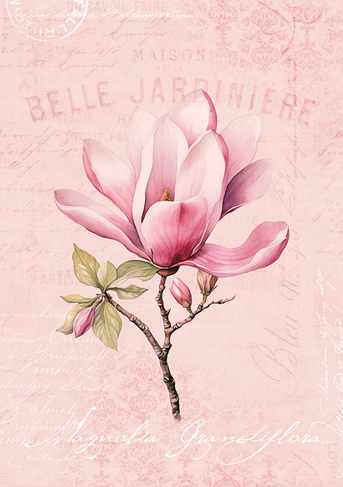 Magnolia Pink No1 art print by Andrea Haase for $57.95 CAD