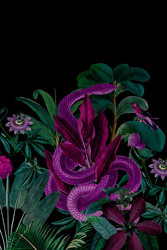 Midnight Jungle Snake art print by Andrea Haase for $57.95 CAD