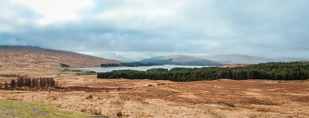 Panoramic View Of The Scottish Highlands art print by Dahlia Ambrose for $57.95 CAD
