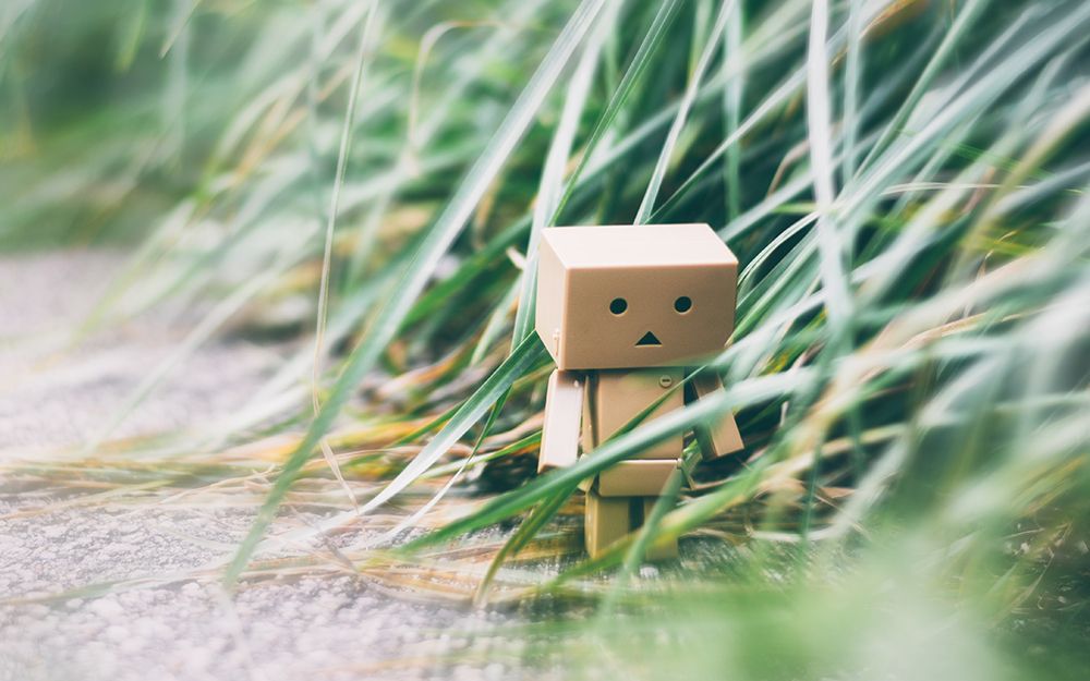 Danbo On A Walk art print by Dahlia Ambrose for $57.95 CAD