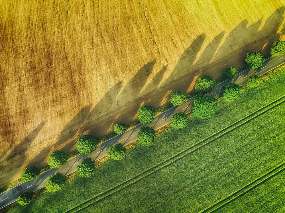 the road art print by Guy Krier for $57.95 CAD